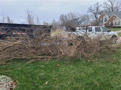 Yard Waste